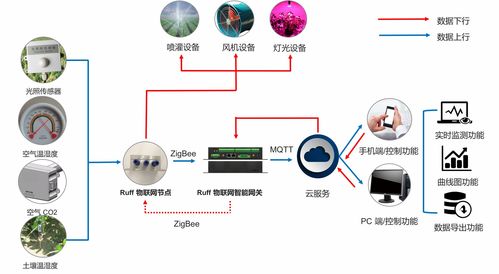 物聯(lián)網(wǎng)技術在智慧農(nóng)業(yè)中的核心應用與服務體系